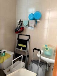 Fairlodge (D10), Apartment #619051391